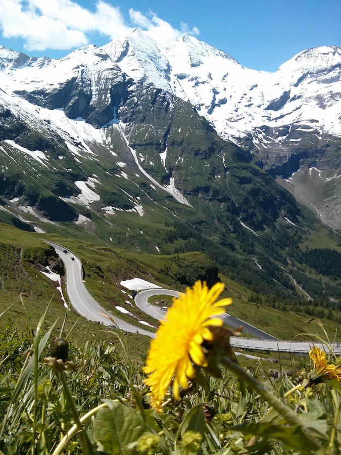 Ridehouse * Schladming